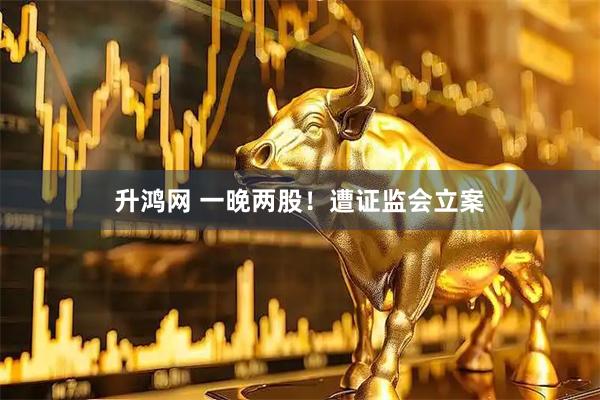 升鸿网 一晚两股！遭证监会立案