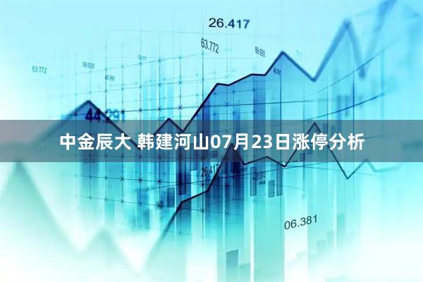 中金辰大 韩建河山07月23日涨停分析